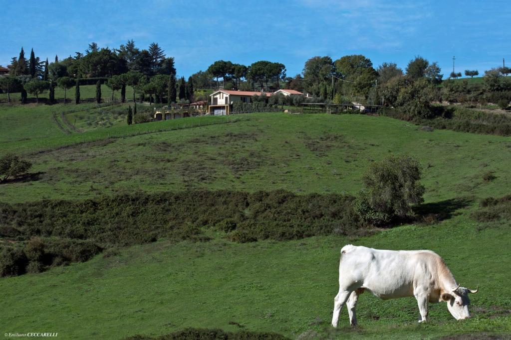 Agriturismo Valle Siriaca Castelnuovo Di Porto Exteriör bild